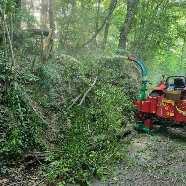 Evacuation des déchets verts