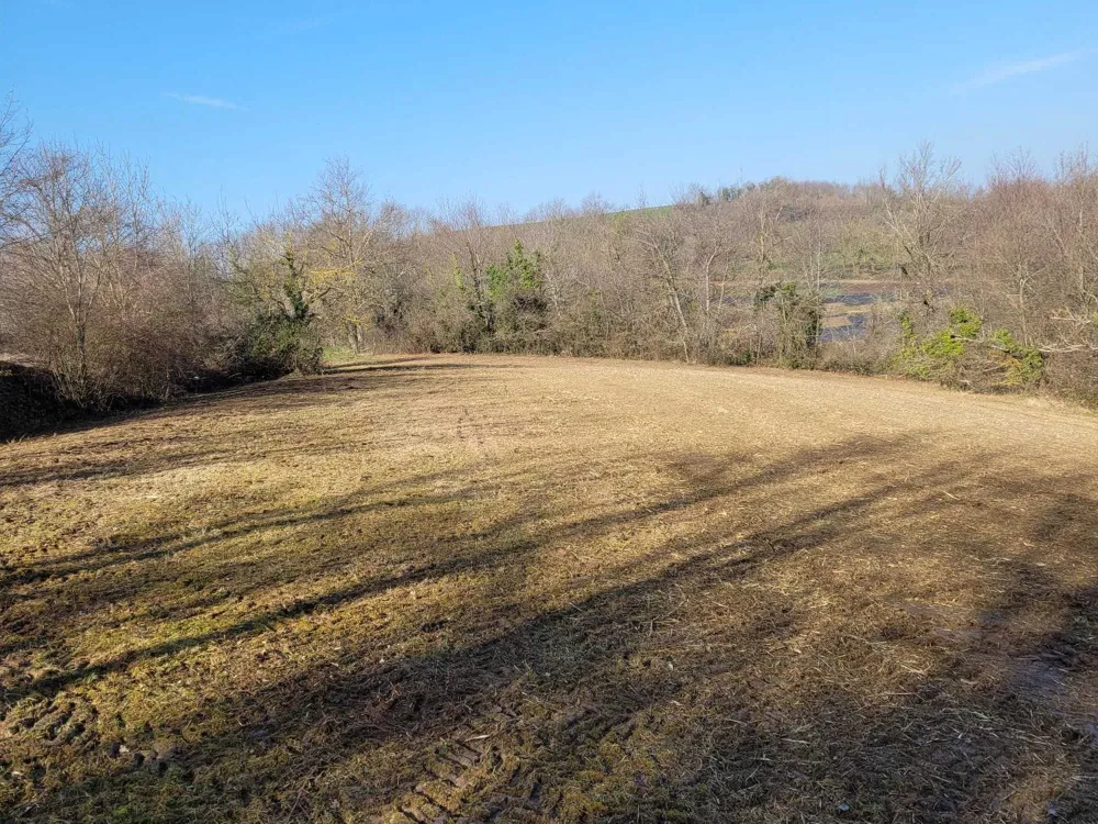 aménagement paysager