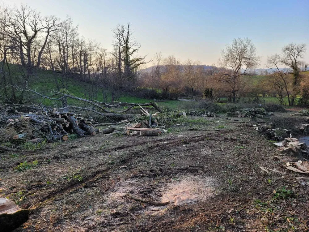 entretien espaces verts