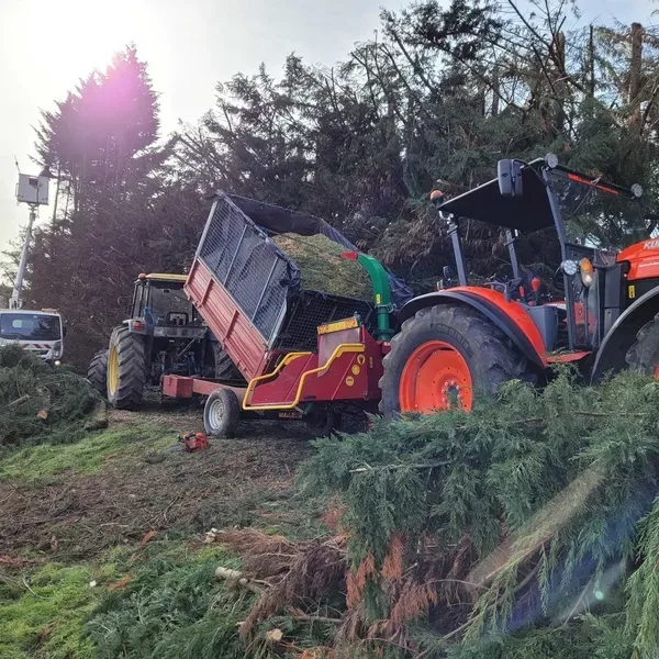 Evacuation des déchets verts