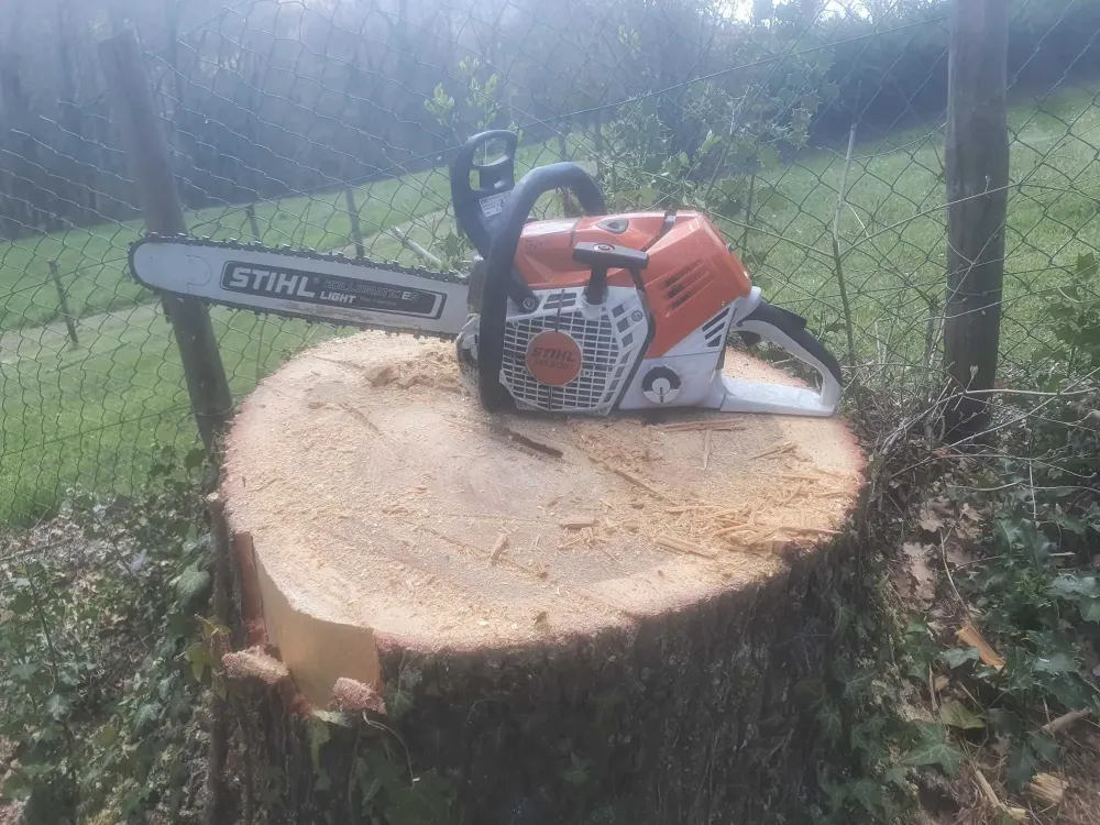 Tronçonnage arbre