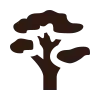 Icon arbre